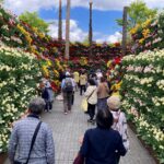 となみチューリップフェア(花の大谷)