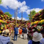 となみチューリップフェア(花の大谷)